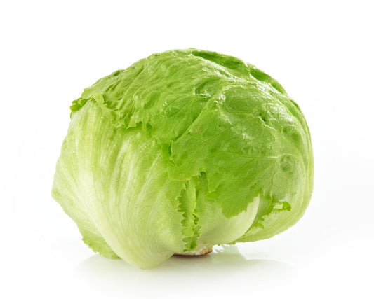 Iceberg Lettuce
