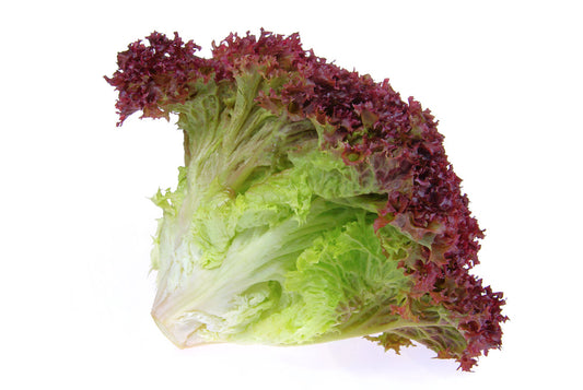 Lollo Rosso Lettuce (Loose-Leaf)