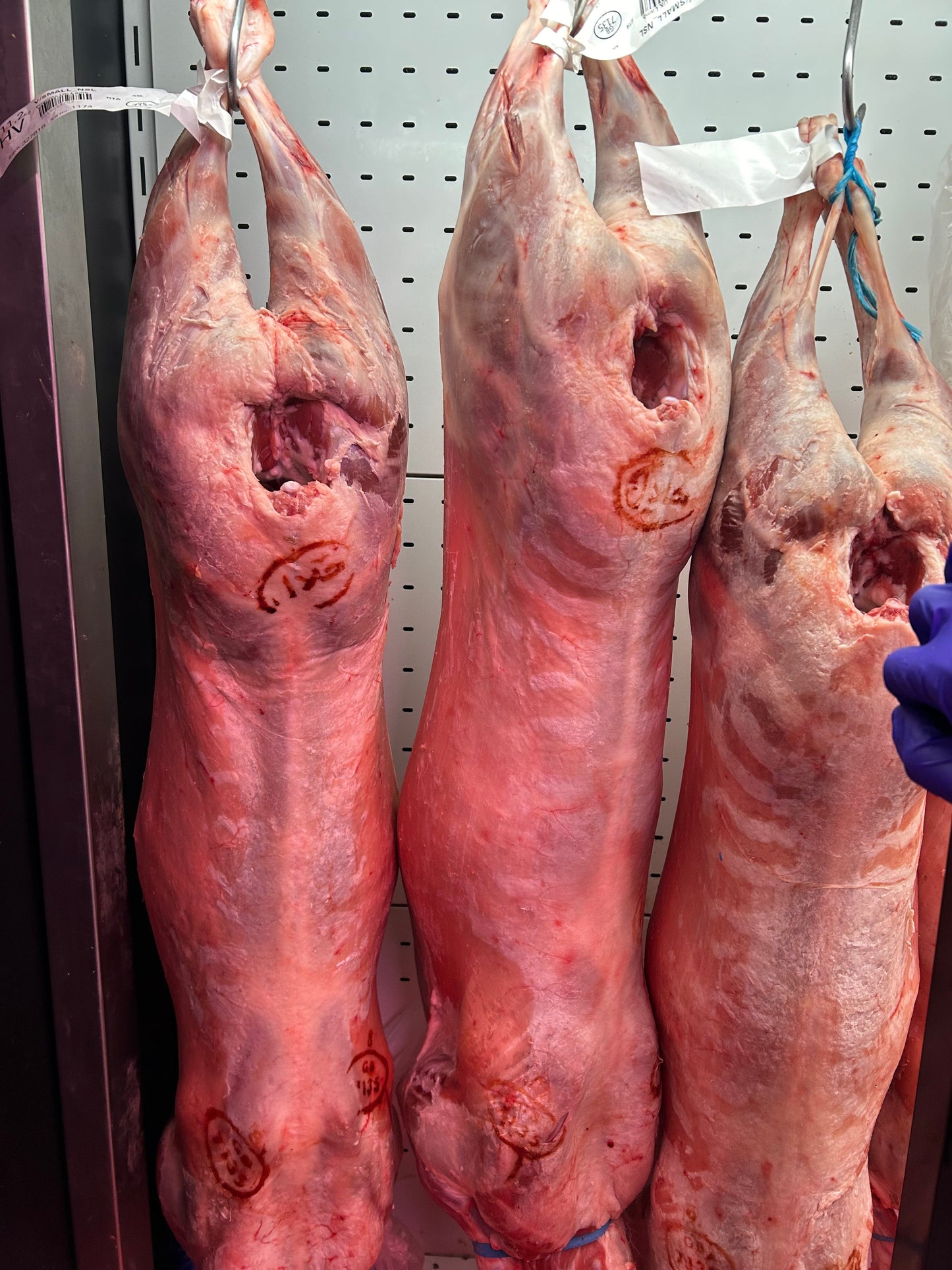 Whole Spring Baby/Big Lamb Welsh (13-17KG)