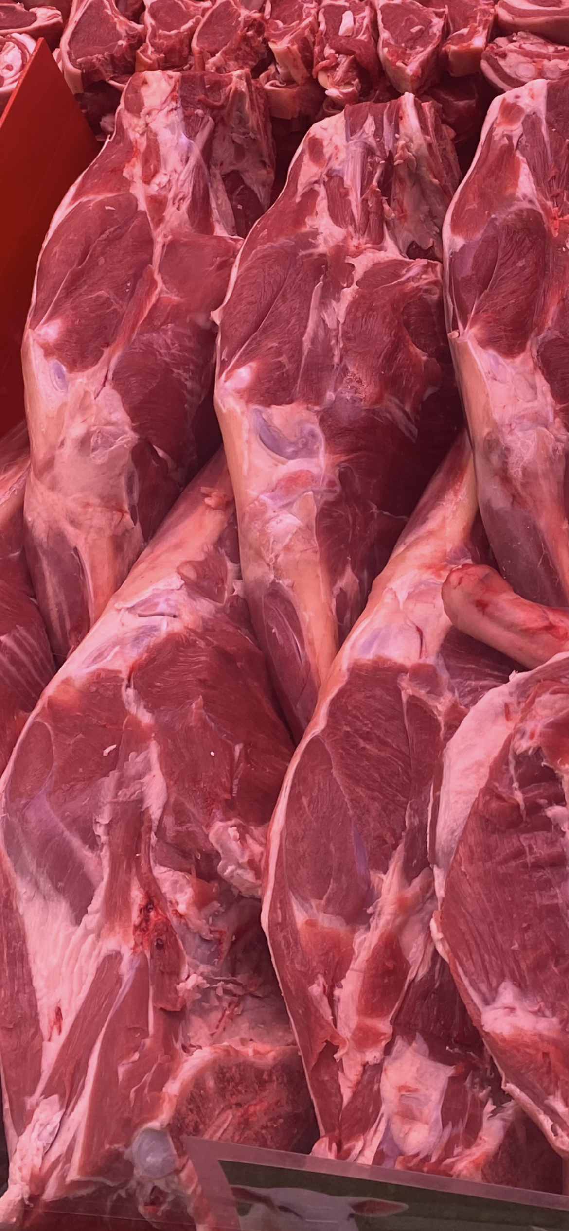 Halal Spring Baby Lamb Leg (Welsh)